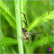 Handyhintergrunbild 10