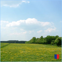 Handyhintergrunbild 13