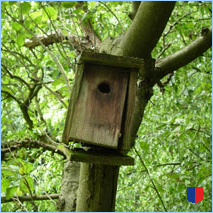 Handyhintergrunbild 14