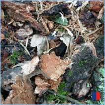 Handyhintergrunbild 17