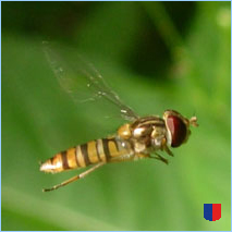 Handyhintergrunbild 19