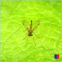 Handyhintergrunbild 2