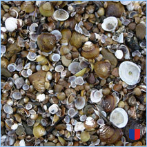 Handyhintergrunbild 21