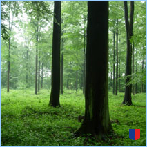 Handyhintergrunbild 25