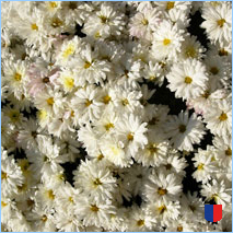 Handyhintergrunbild 26