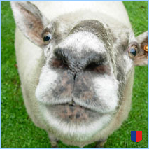 Handyhintergrunbild 3