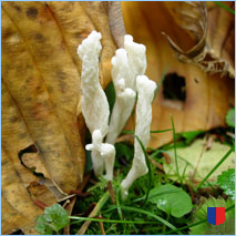 Handyhintergrunbild 32