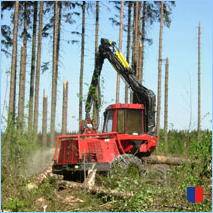 Handyhintergrunbild 36