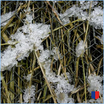 Handyhintergrunbild 4