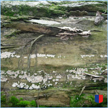 Handyhintergrunbild 45