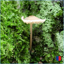 Handyhintergrunbild 47