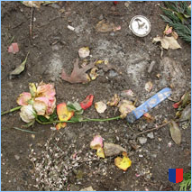 Handyhintergrunbild 49