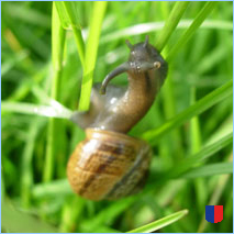 Handyhintergrunbild 5