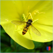 Handyhintergrunbild 55