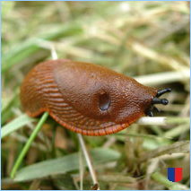 Handyhintergrunbild 57