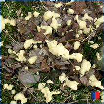 Handyhintergrunbild 58