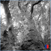 Handyhintergrunbild 59