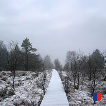 Handyhintergrunbild 64