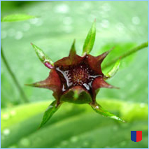 Handyhintergrunbild 68