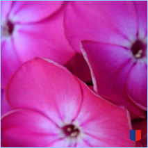 Handyhintergrunbild 70