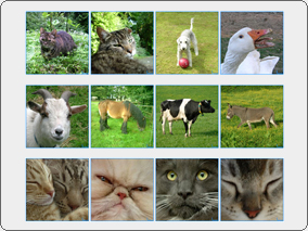 lobscheid.com/download